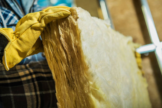 Best Home Insulation Services  in Wanakah, NY