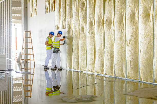 Best Energy-efficient Insulation  in Wanakah, NY